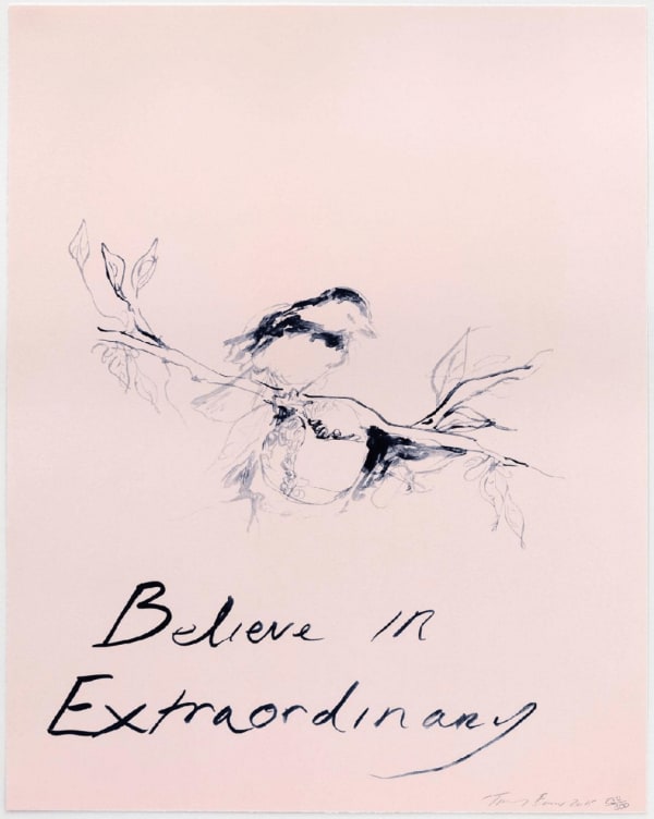 Believe In Extraordinary