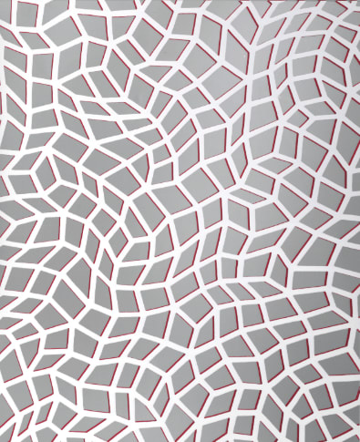 Infinity Nets