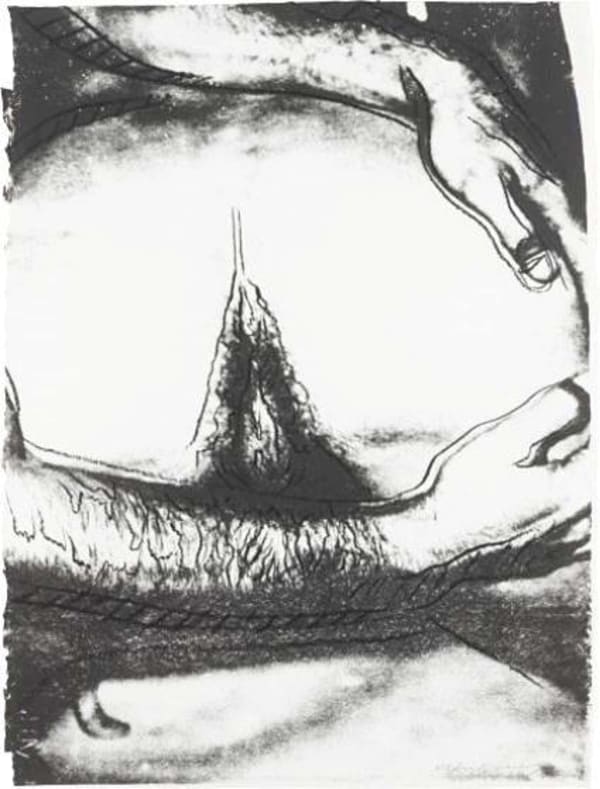 Sex Parts (FS II.173)