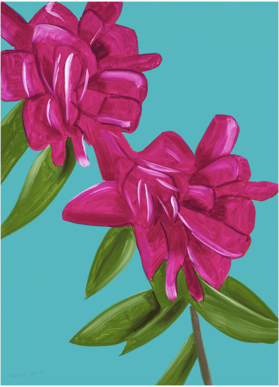Peonies