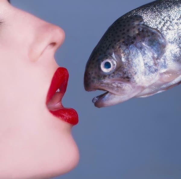 Fish
