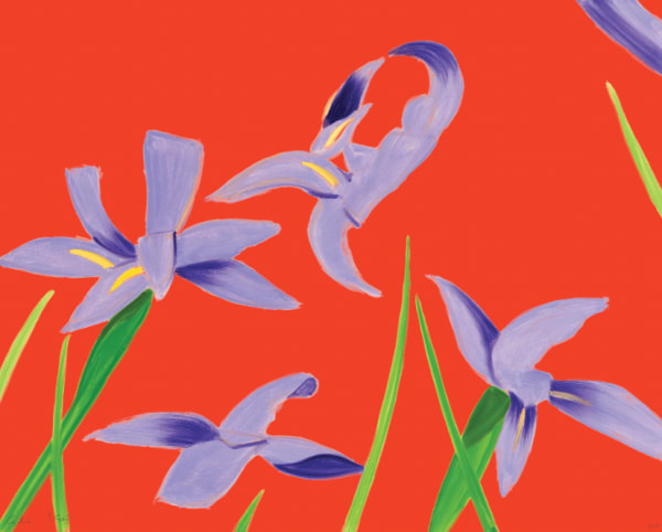 Purple Irises on Red
