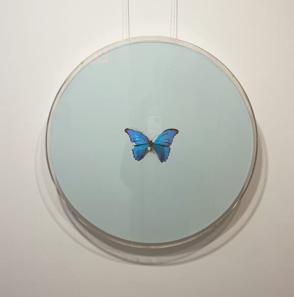 Damien Hirst, Capricorn, 2009