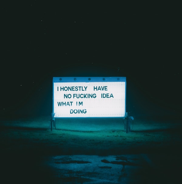 I Honestly Have No Idea What I'm Doing