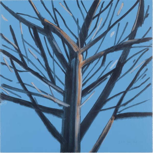 Tree 8