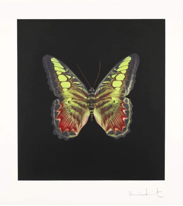The Souls on Jacob's Ladder Take Their Flight (Large Red / Green Butterfly)