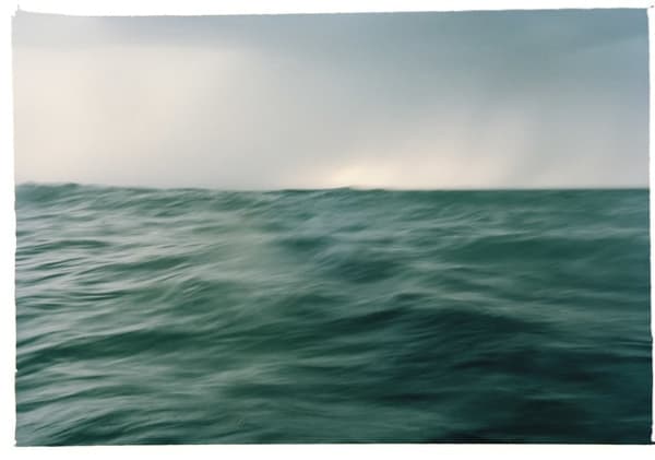 Saltwater