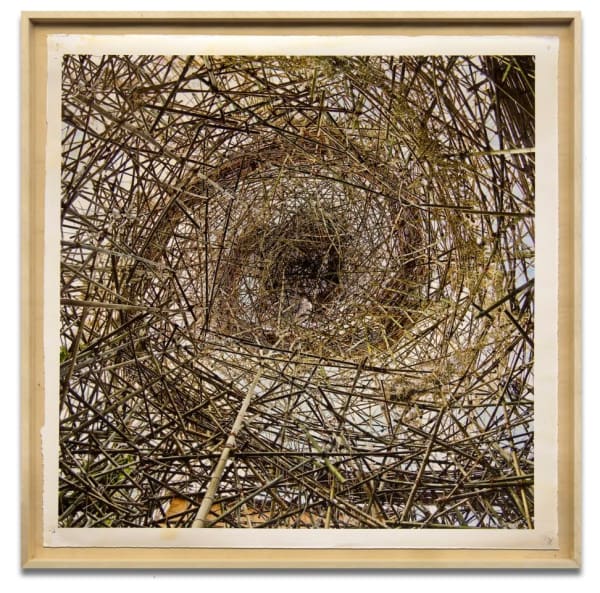 DOUG AND MIKE STARN, BBV_05.30.11_0794_1, 2011-13