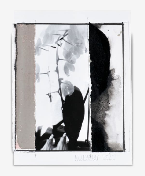 IAN MCKEEVER, Gerlinde (Study No. 1), 1995-2022