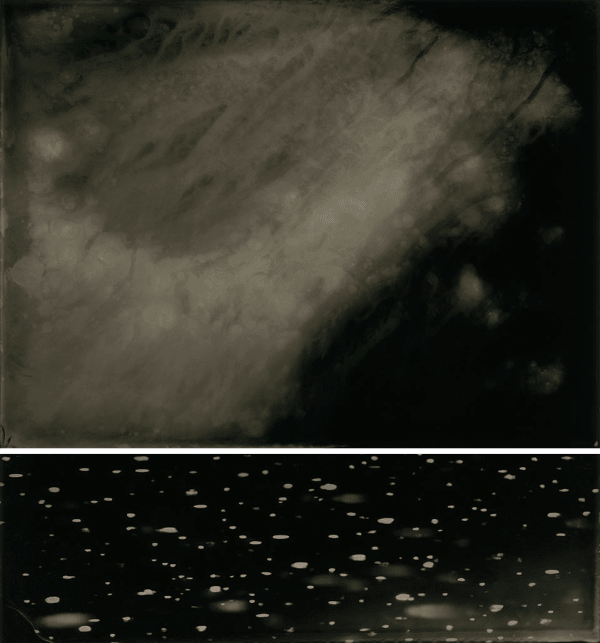 NADEZDA NIKOLOVA, Elemental Forms, Untitled no. 17, 2024