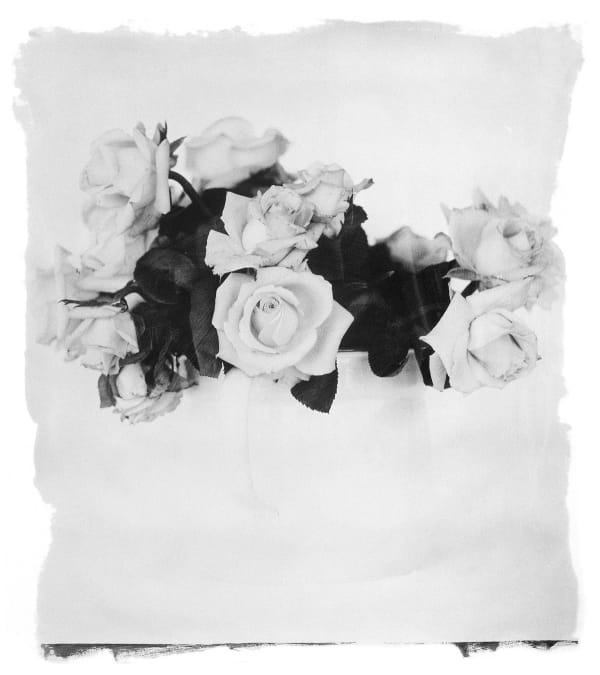 STEPHEN INGGS, Roses Overberg, 2003