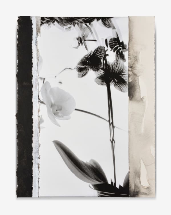 IAN MCKEEVER, Gerlinde No. 22, 1995-2023