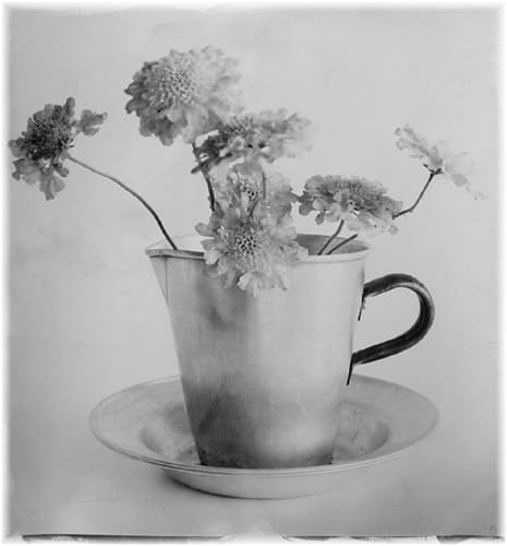 STEPHEN INGGS, Jug with Flowers, 2006/2008