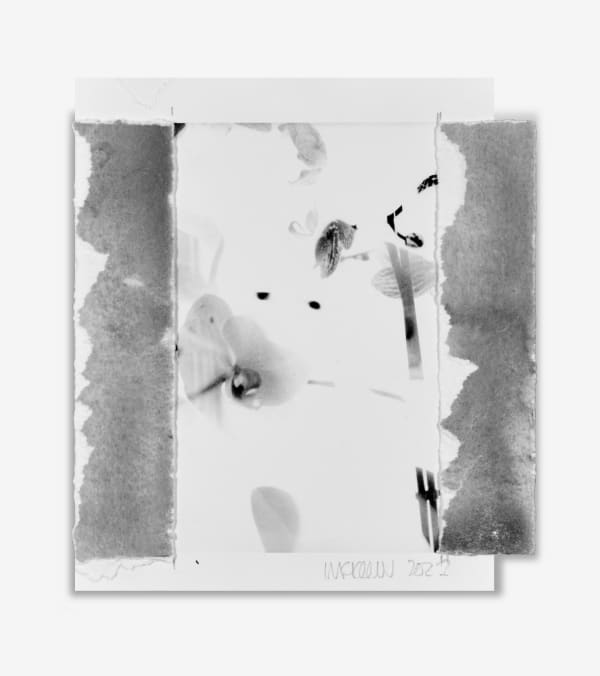 IAN MCKEEVER, Gerlinde (Study No. 2), 1995-2022