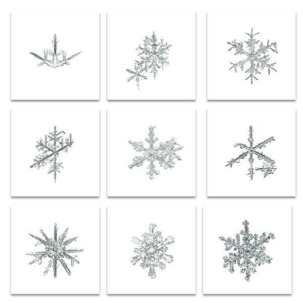 DOUG AND MIKE STARN, Alleverythingthatisyou_muitrefgo, 2006