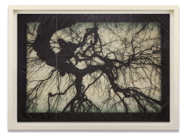 DOUG AND MIKE STARN, Structure of Thought 26, 2001-2013