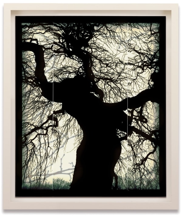 DOUG AND MIKE STARN, Structure of Thought 21, 2001-09