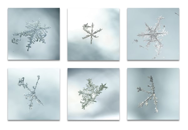 DOUG AND MIKE STARN, alleverythingthatisyou, 2005-18