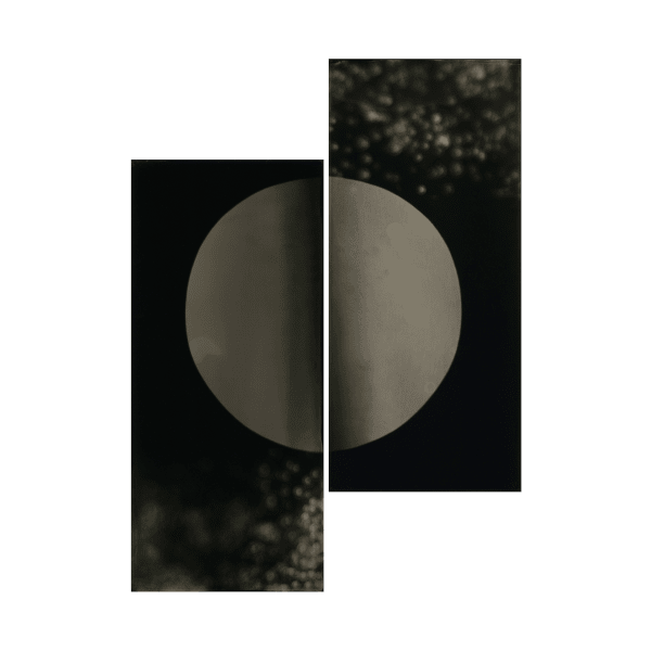Elemental Forms, Landscape