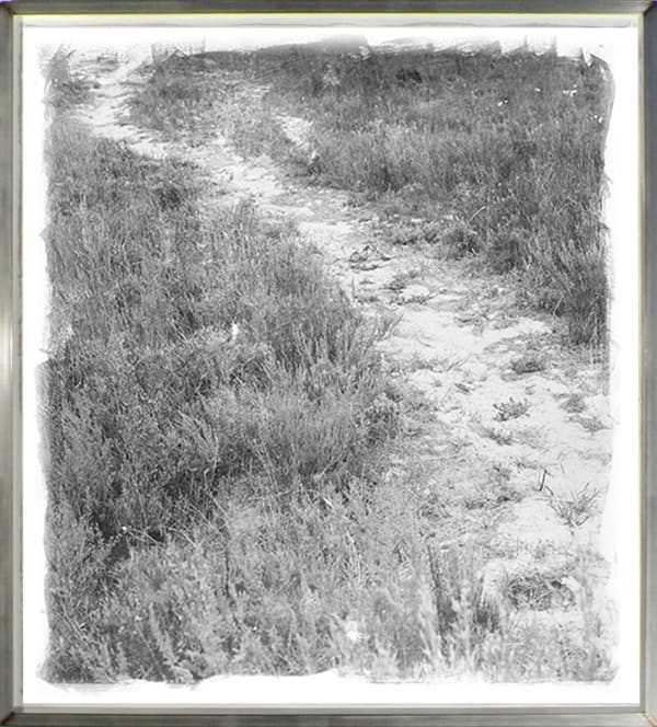 Landscapes