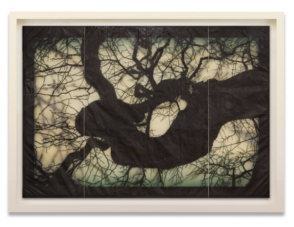 DOUG AND MIKE STARN, Structure of Thought 28, 2001-2013