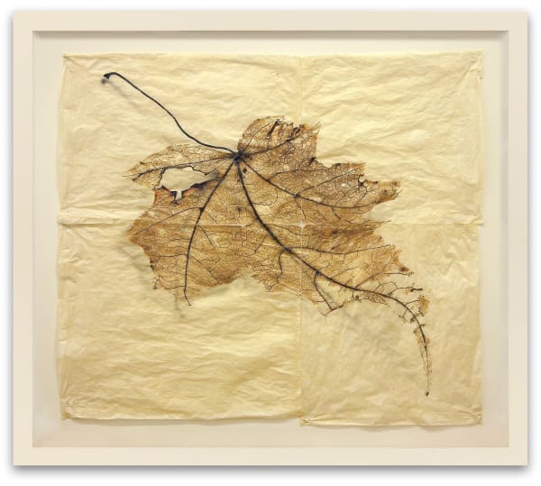 DOUG AND MIKE STARN, Black Pulse #7, 2015