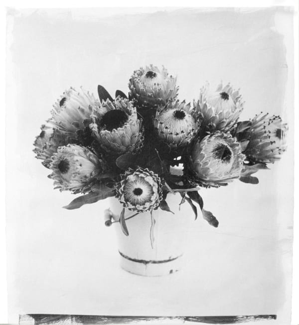 STEPHEN INGGS, Proteas, 2003