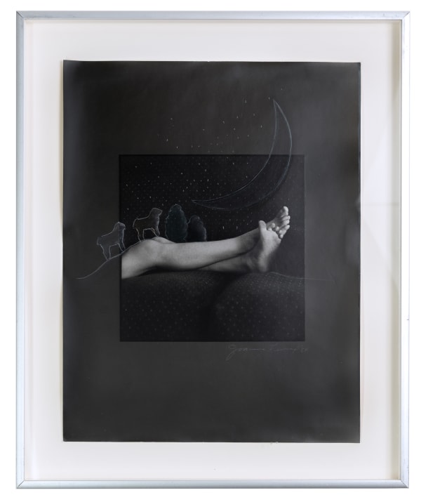 JOANNE LEONARD, Fantasy Feet II, 1984