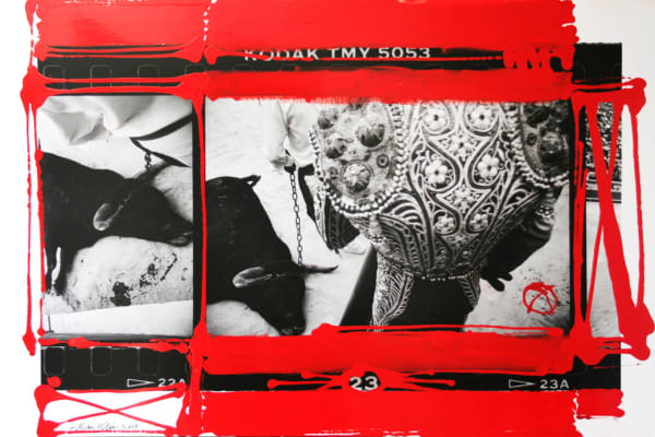 WILLIAM KLEIN, Dead Bull, Feria de Nimes, 1986