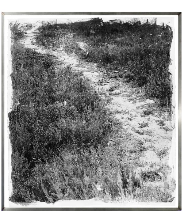 Landscapes