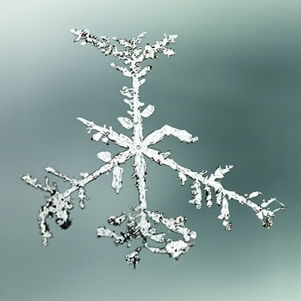 DOUG AND MIKE STARN, Snow Study 2, 2005