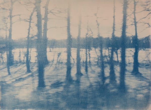 KATJA LIEBMANN, Winter Journey I (after Franz Schubert's Winterreise), 2010