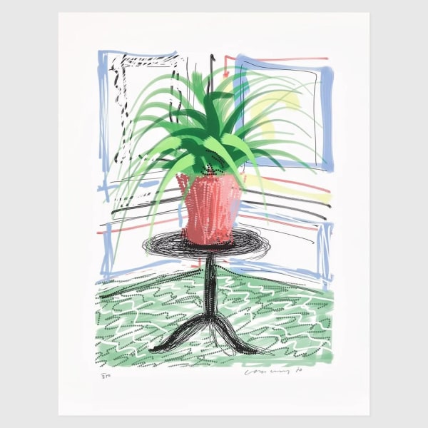 David Hockney, David Hockney Untitled No. 468 iPad Drawing (from A Bigger Book), 2016