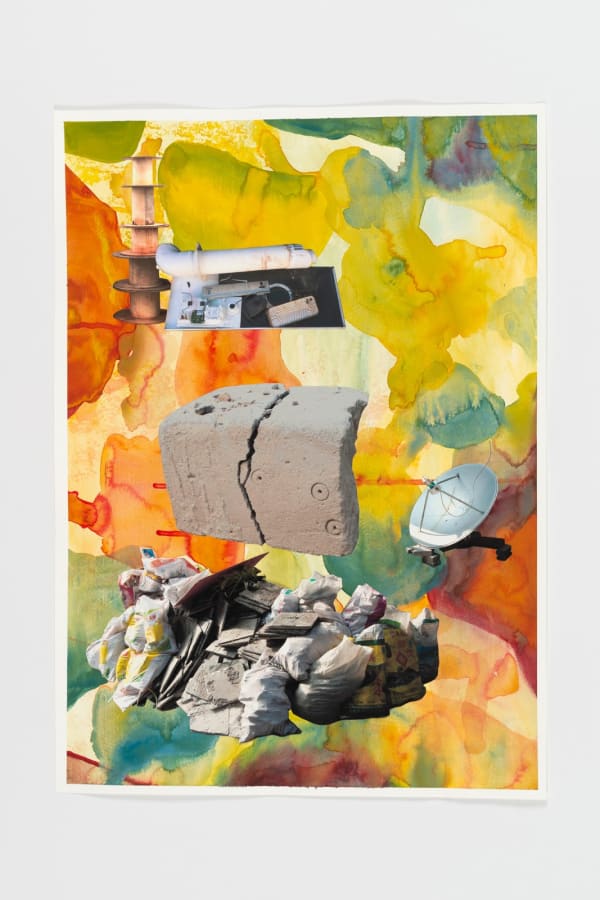 Rachael Champion, Azolla Event, 2020