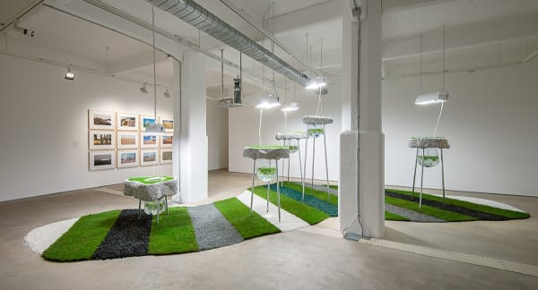 Rachael Champion, Raze Bloom, 2015