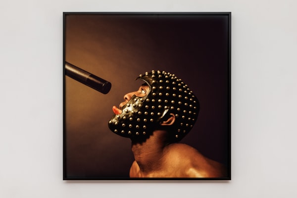 Rotimi Fani-Kayode, Untitled (Bodies of Experience), 1989