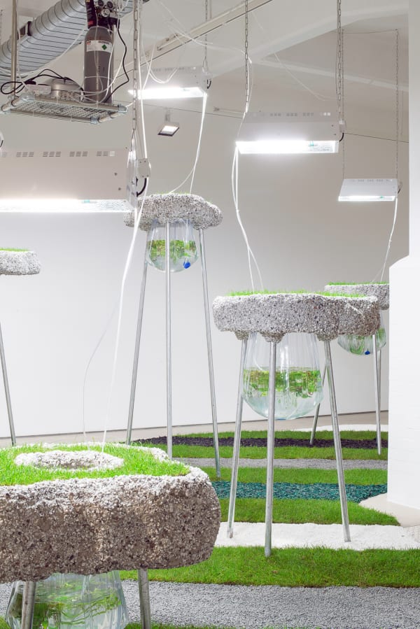 Rachael Champion, Raze Bloom, 2015