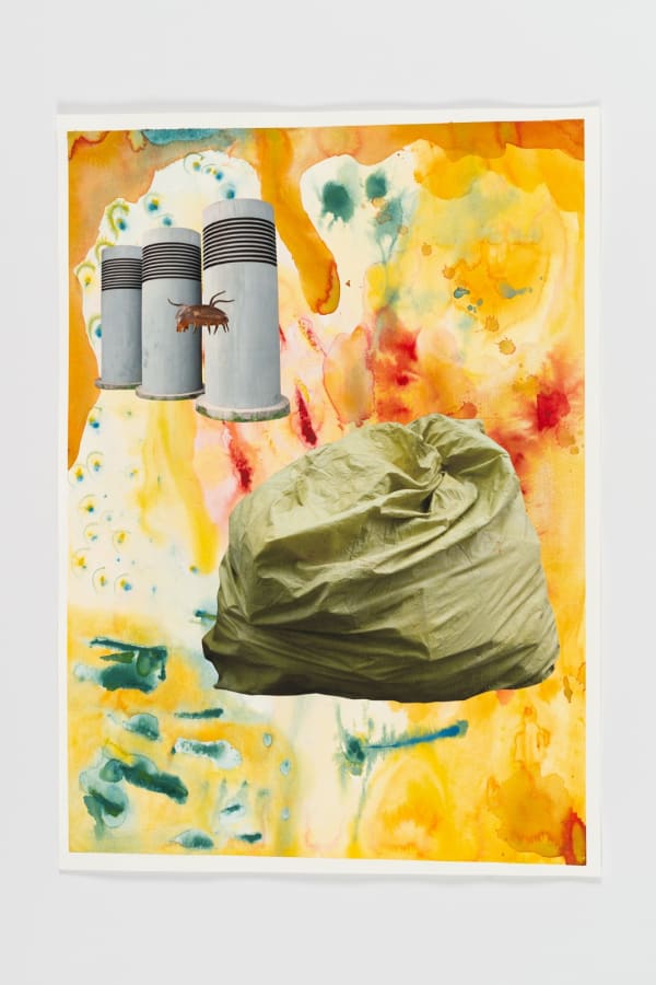 Rachael Champion, Pyrolysing Biomass, 2020