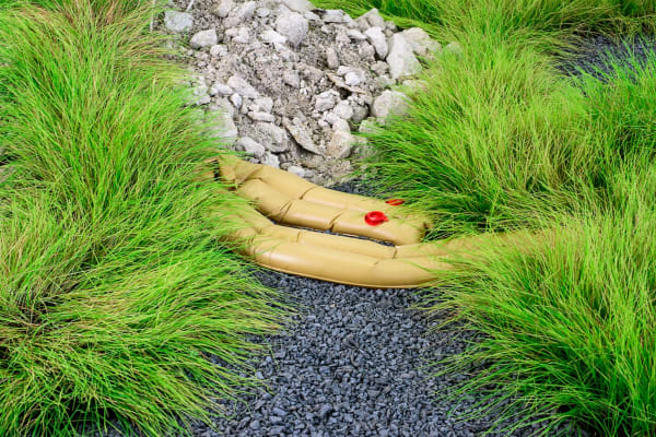 Rachael Champion, New Spring Gardens, 2016