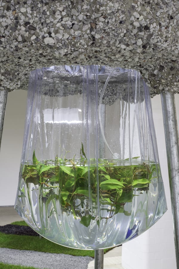 Rachael Champion, Raze Bloom, 2015