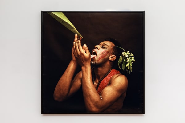 Rotimi Fani-Kayode, Nothing to Lose VII (Bodies of Experience), 1989