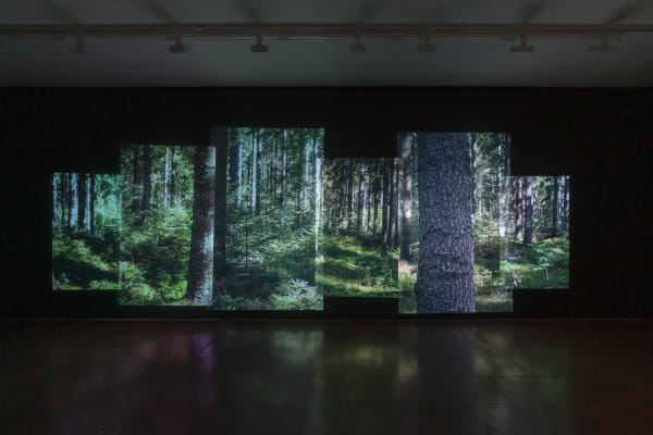 Andrea Geyer, never yet, 2023