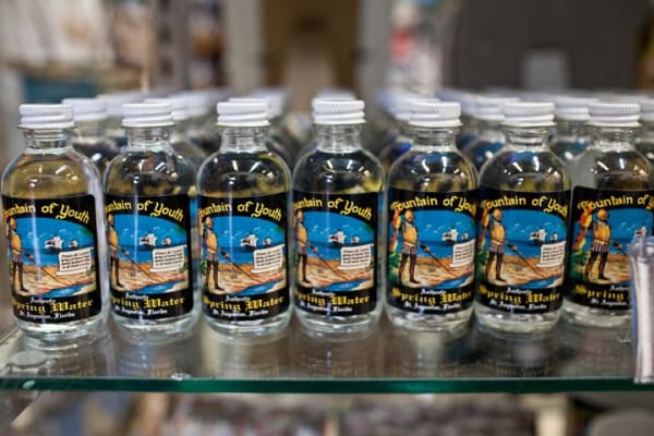 Michael Smith, Fountain of Youth State Park, Journey No. 1, 2012