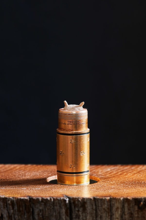 Jane Wilbraham, The Vanities: vanity 5, 2018-2019