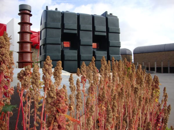 Rachael Champion, Economies of Scale, 2011