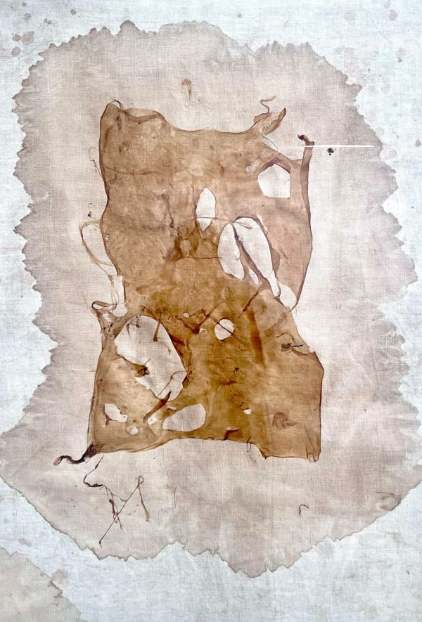 Monica C. LoCascio Untitled (Scoby Study from Without Us the System Fails), 2022