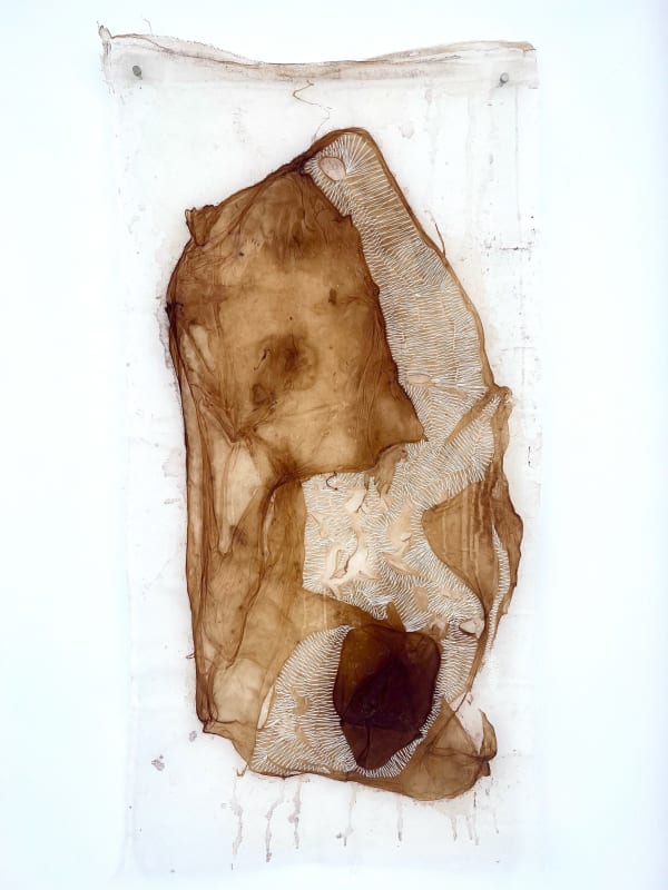 Monica C. LoCascio Organelles, 2023