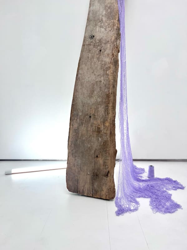 Monica C. LoCascio In the Bones of Our House, 2023