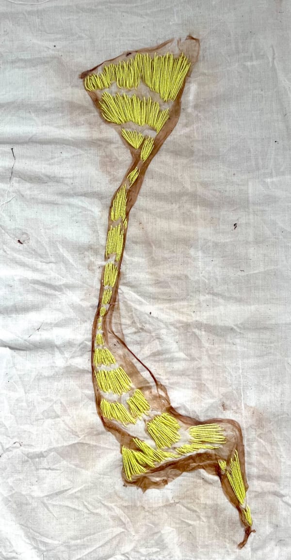 Monica C. LoCascio Guts and Mycelium and Mother trees, 2023