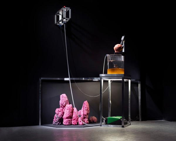 Fountain of the Amazons